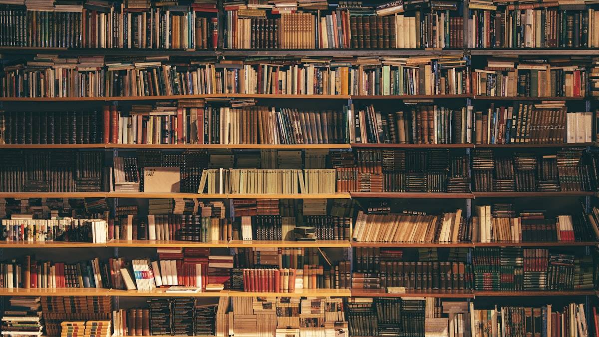 無数の候補の中から選ばれる検索結果を象徴する図書館の書棚