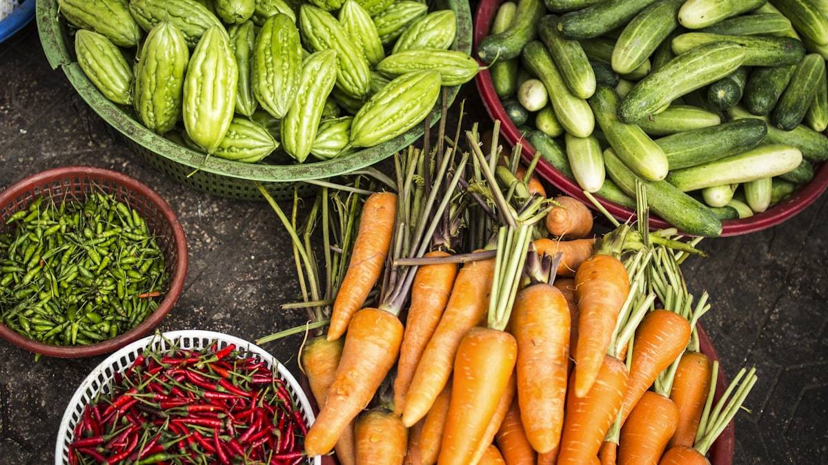 現場から収穫される一次情報を象徴する採れたての野菜