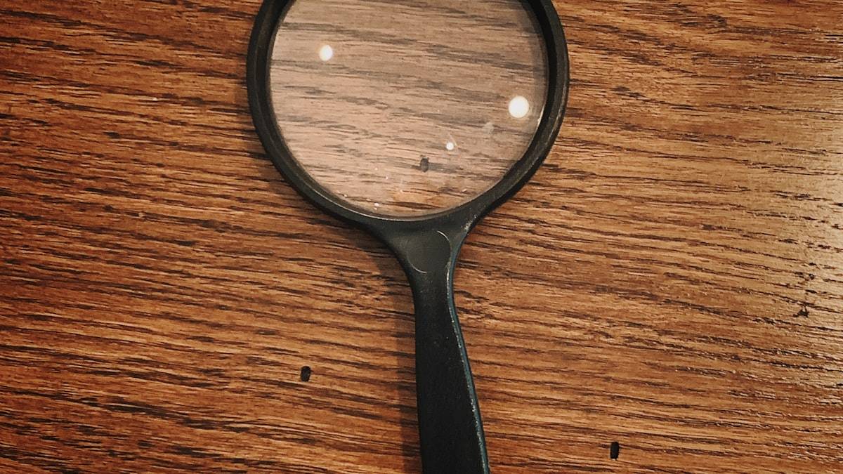 木の机に置かれた虫眼鏡。検索結果を丁寧に見ることを表したイメージ