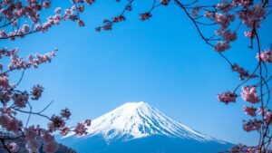 日本の観光を象徴する桜と富士山