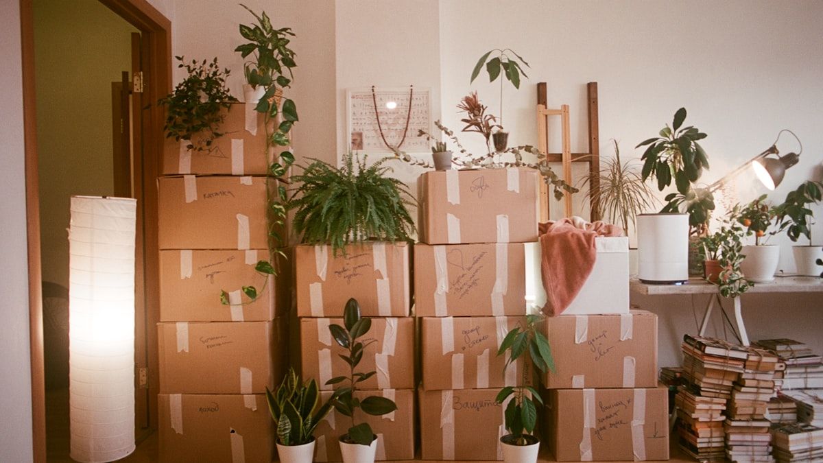 CMSの乗り換えを扱う章。引っ越しの荷造りを終えた部屋に積まれた段ボール箱と観葉植物